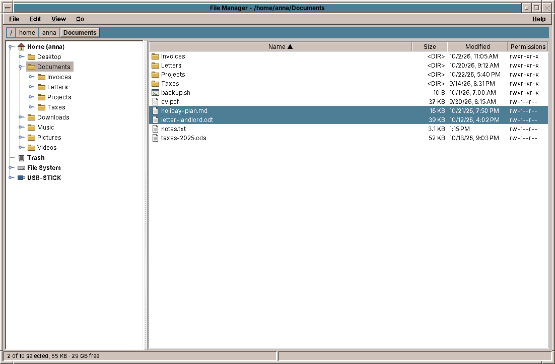 amade-files in the tree view: the folder tree on the left, the contents of Documents on the right