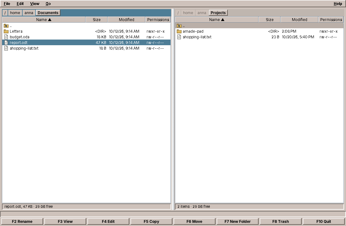 The two-panel view: Documents on the left, Projects on the right