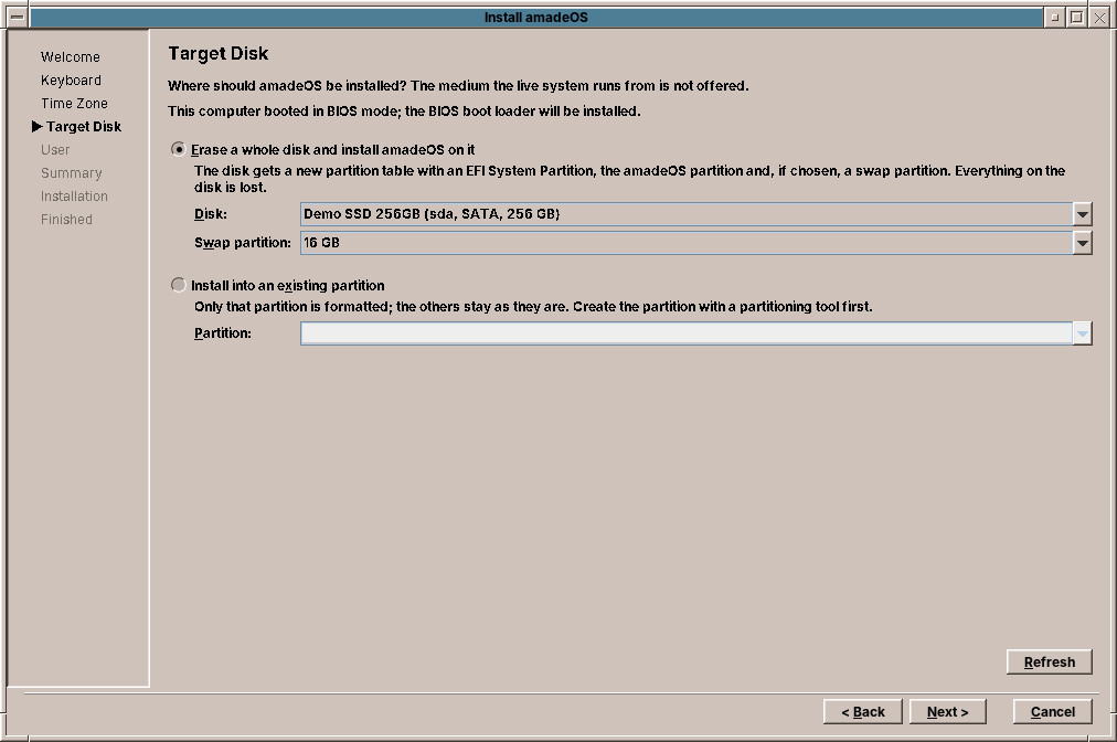 The Target Disk page with one disk