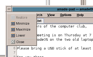 The window menu