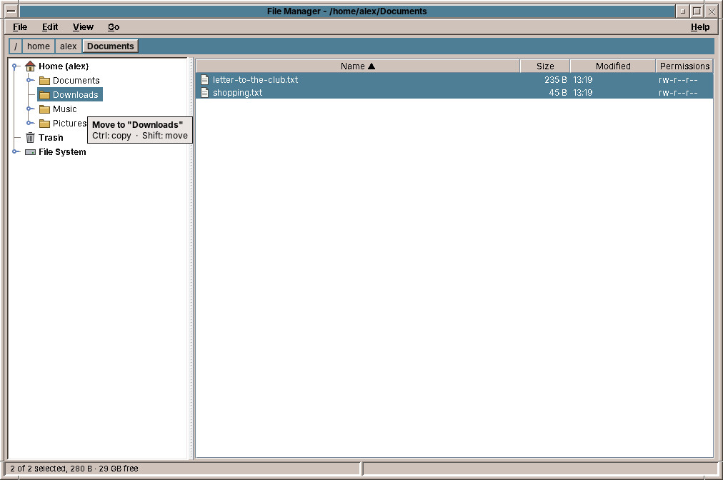 Two files dragged onto Downloads